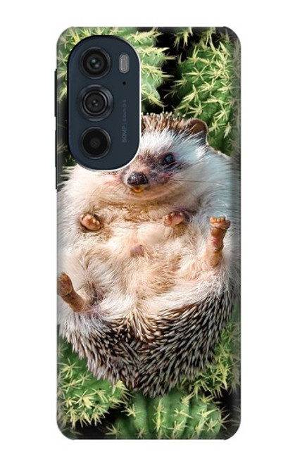 W3863 Pygmy Hedgehog Dwarf Hedgehog Paint Hard Case and Leather Flip Case For Motorola Edge 30 Pro