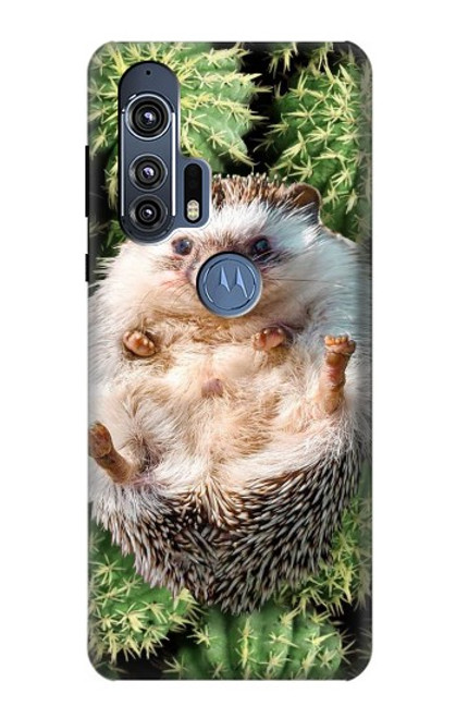 W3863 Pygmy Hedgehog Dwarf Hedgehog Paint Hard Case and Leather Flip Case For Motorola Edge+