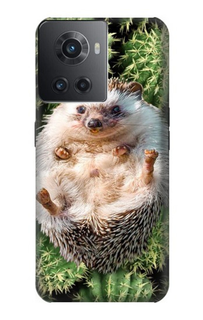 W3863 Pygmy Hedgehog Dwarf Hedgehog Paint Hard Case and Leather Flip Case For OnePlus Ace