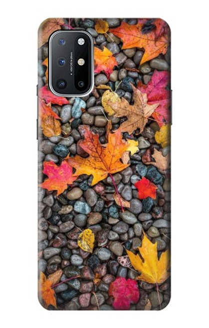 W3889 Maple Leaf Hard Case and Leather Flip Case For OnePlus 8T