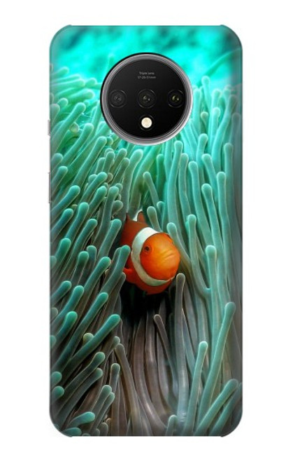 W3893 Ocellaris clownfish Hard Case and Leather Flip Case For OnePlus 7T