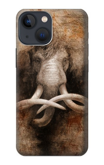 W3427 Mammoth Ancient Cave Art Hard Case and Leather Flip Case For iPhone 14