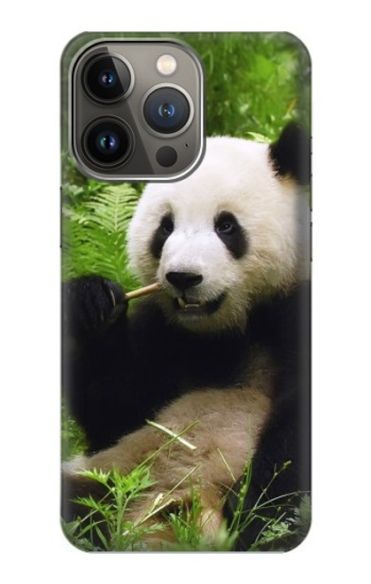 W1073 Panda Enjoy Eating Hard Case and Leather Flip Case For iPhone 14 Pro