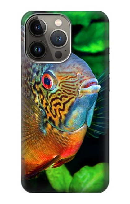 W1812 Cichlid Fish Hard Case and Leather Flip Case For iPhone 14 Pro