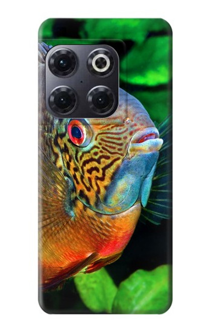 W1812 Cichlid Fish Hard Case and Leather Flip Case For OnePlus 10T