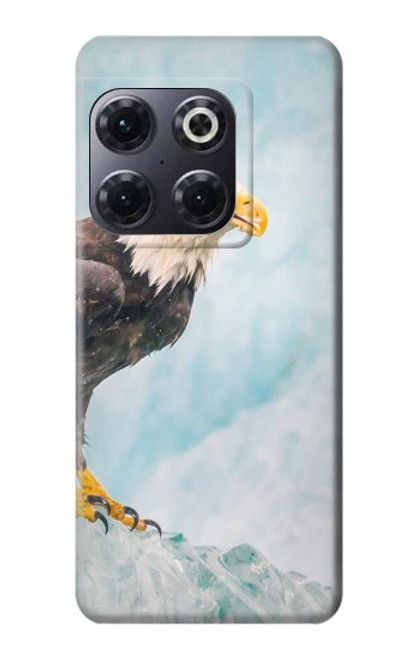 W3843 Bald Eagle On Ice Hard Case and Leather Flip Case For OnePlus 10T