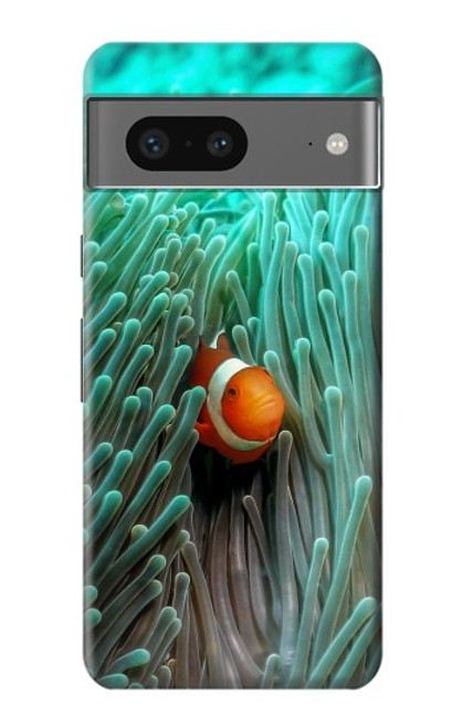 W3893 Ocellaris clownfish Hard Case and Leather Flip Case For Google Pixel 7