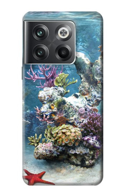 W0227 Aquarium Hard Case and Leather Flip Case For OnePlus Ace Pro