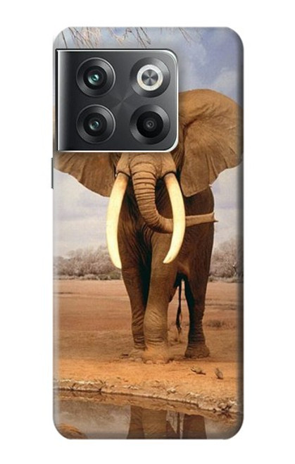W0310 African Elephant Hard Case and Leather Flip Case For OnePlus Ace Pro