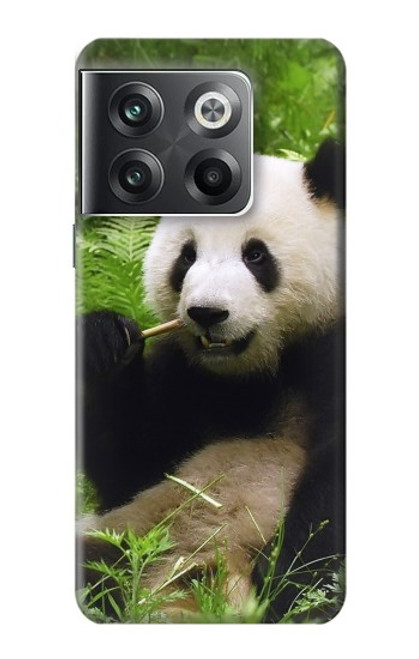 W1073 Panda Enjoy Eating Hard Case and Leather Flip Case For OnePlus Ace Pro