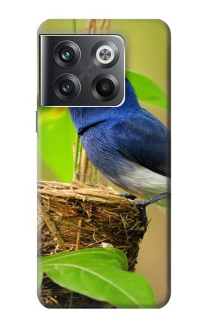 W3839 Bluebird of Happiness Blue Bird Hard Case and Leather Flip Case For OnePlus Ace Pro