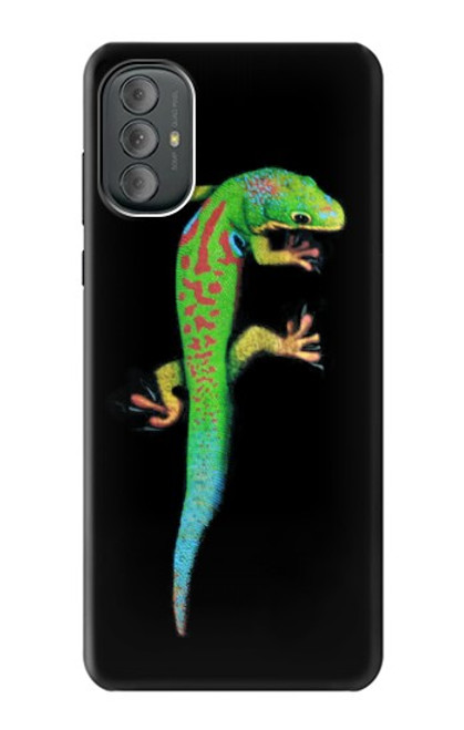 W0125 Green Madagascan Gecko Hard Case and Leather Flip Case For Motorola Moto G Power 2022, G Play 2023