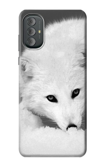 W2569 White Arctic Fox Hard Case and Leather Flip Case For Motorola Moto G Power 2022, G Play 2023