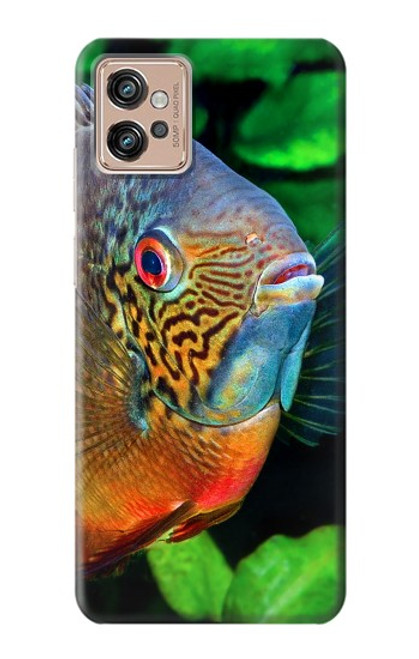 W1812 Cichlid Fish Hard Case and Leather Flip Case For Motorola Moto G32