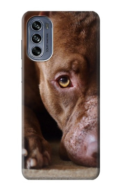 W0519 PitBull Face Hard Case and Leather Flip Case For Motorola Moto G62 5G