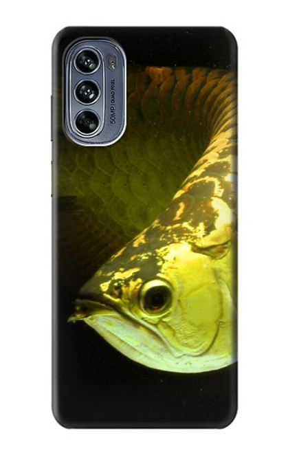 W1021 Gold Arowana Fish Hard Case and Leather Flip Case For Motorola Moto G62 5G