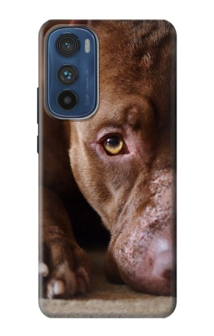 W0519 PitBull Face Hard Case and Leather Flip Case For Motorola Edge 30