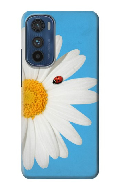 W3043 Vintage Daisy Lady Bug Hard Case and Leather Flip Case For Motorola Edge 30