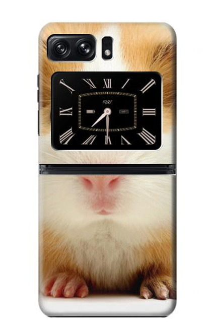 W1619 Cute Guinea Pig Hard Case and Leather Flip Case For Motorola Moto Razr 2022