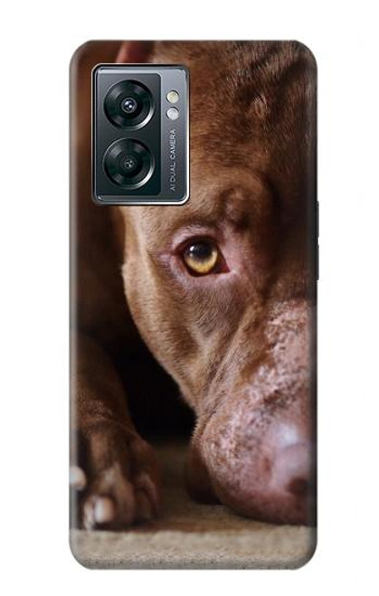 W0519 PitBull Face Hard Case and Leather Flip Case For OnePlus Nord N300