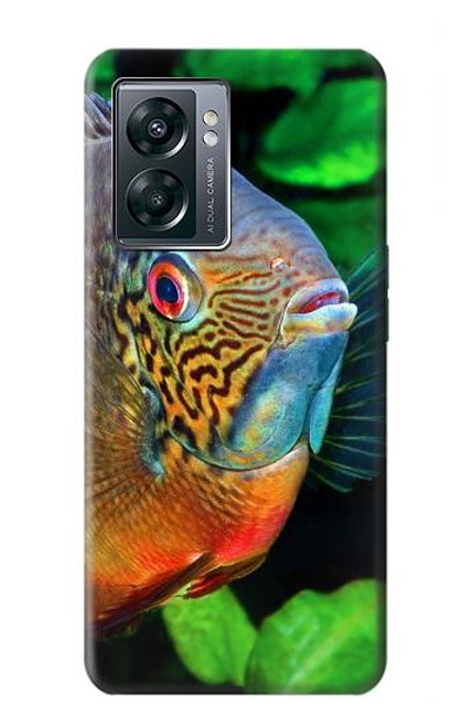 W1812 Cichlid Fish Hard Case and Leather Flip Case For OnePlus Nord N300