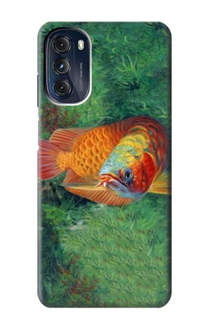 W1157 Red Arowana Fish Hard Case and Leather Flip Case For Motorola Moto G 5G (2023)