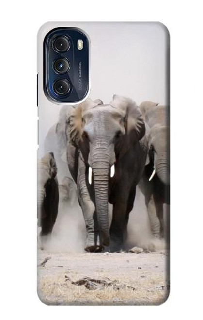 W3142 African Elephant Hard Case and Leather Flip Case For Motorola Moto G 5G (2023)