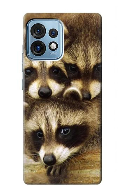 W0977 Baby Raccoons Hard Case and Leather Flip Case For Motorola Edge+ (2023), X40, X40 Pro, Edge 40 Pro