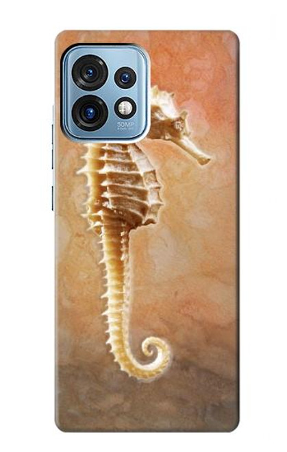 W2674 Seahorse Skeleton Fossil Hard Case and Leather Flip Case For Motorola Edge+ (2023), X40, X40 Pro, Edge 40 Pro