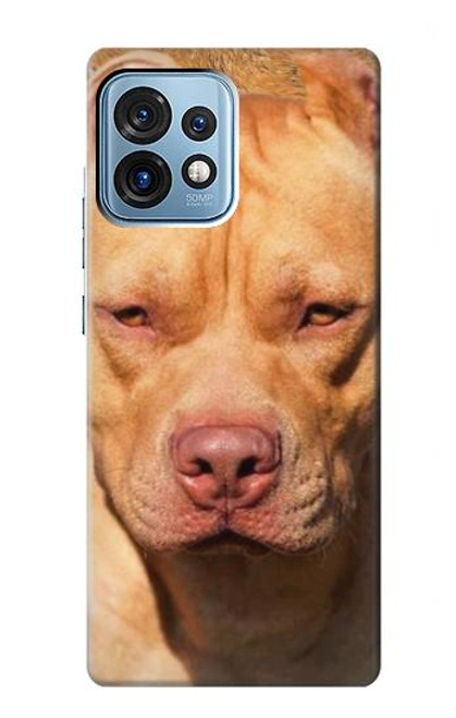 W2903 American Pitbull Dog Hard Case and Leather Flip Case For Motorola Edge+ (2023), X40, X40 Pro, Edge 40 Pro