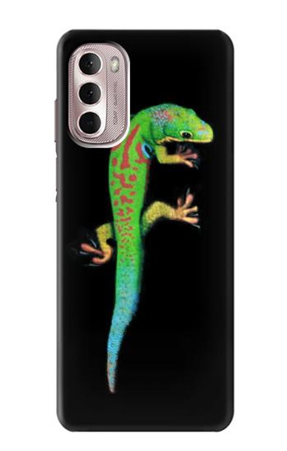 W0125 Green Madagascan Gecko Hard Case and Leather Flip Case For Motorola Moto G Stylus 4G (2022)
