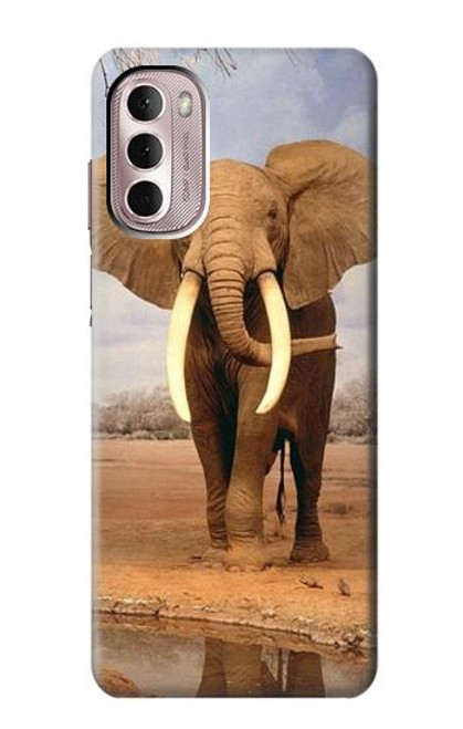 W0310 African Elephant Hard Case and Leather Flip Case For Motorola Moto G Stylus 4G (2022)