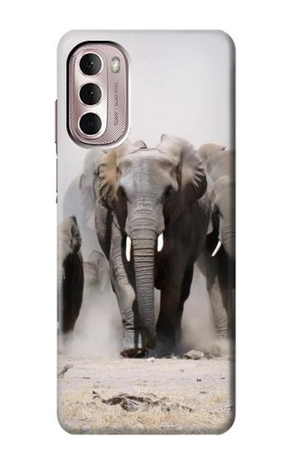 W3142 African Elephant Hard Case and Leather Flip Case For Motorola Moto G Stylus 4G (2022)