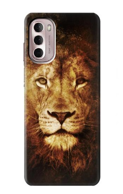 W3182 Lion Hard Case and Leather Flip Case For Motorola Moto G Stylus 4G (2022)