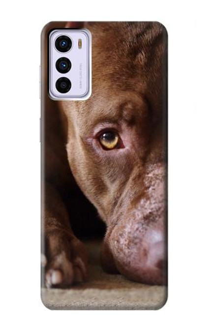 W0519 PitBull Face Hard Case and Leather Flip Case For Motorola Moto G42