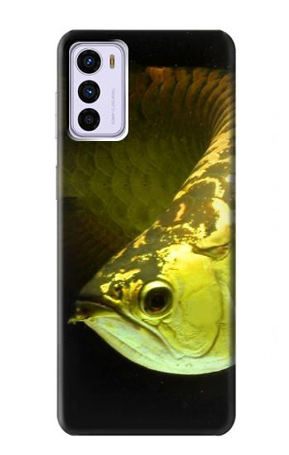 W1021 Gold Arowana Fish Hard Case and Leather Flip Case For Motorola Moto G42