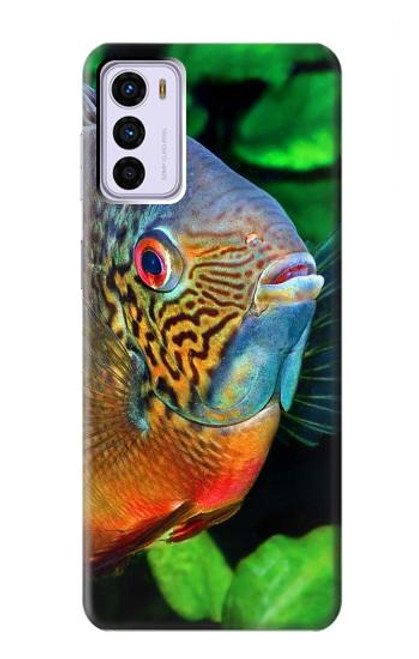 W1812 Cichlid Fish Hard Case and Leather Flip Case For Motorola Moto G42