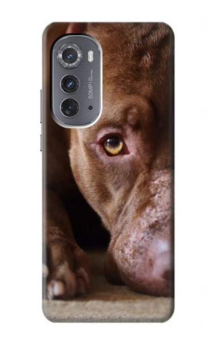 W0519 PitBull Face Hard Case and Leather Flip Case For Motorola Edge (2022)