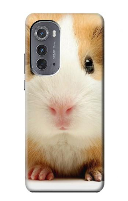 W1619 Cute Guinea Pig Hard Case and Leather Flip Case For Motorola Edge (2022)