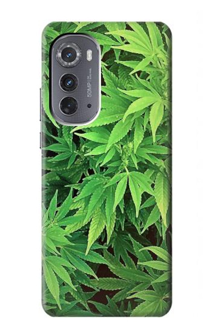 W1656 Marijuana Plant Hard Case and Leather Flip Case For Motorola Edge (2022)