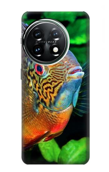 W1812 Cichlid Fish Hard Case and Leather Flip Case For OnePlus 11