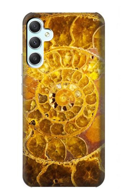 W1789 Ammonite Fossils Hard Case and Leather Flip Case For Samsung Galaxy A34 5G