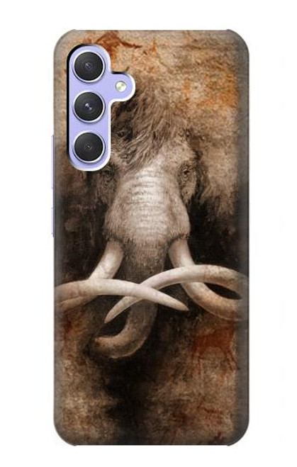 W3427 Mammoth Ancient Cave Art Hard Case and Leather Flip Case For Samsung Galaxy A54 5G