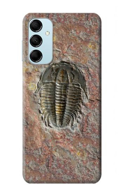 W1454 Trilobite Fossil Hard Case and Leather Flip Case For Samsung Galaxy M14