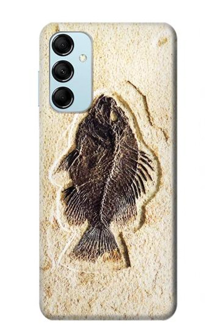 W2562 Fossil Fish Hard Case and Leather Flip Case For Samsung Galaxy M14