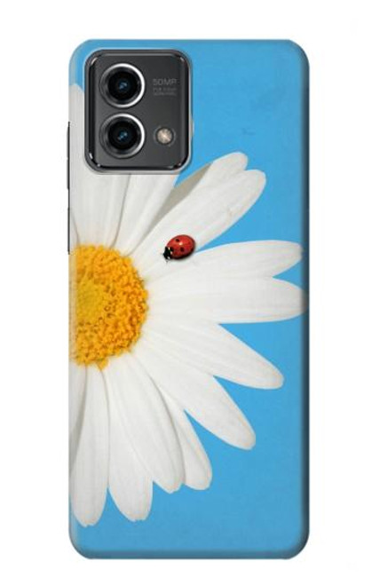 W3043 Vintage Daisy Lady Bug Hard Case and Leather Flip Case For Motorola Moto G Stylus 5G (2023)