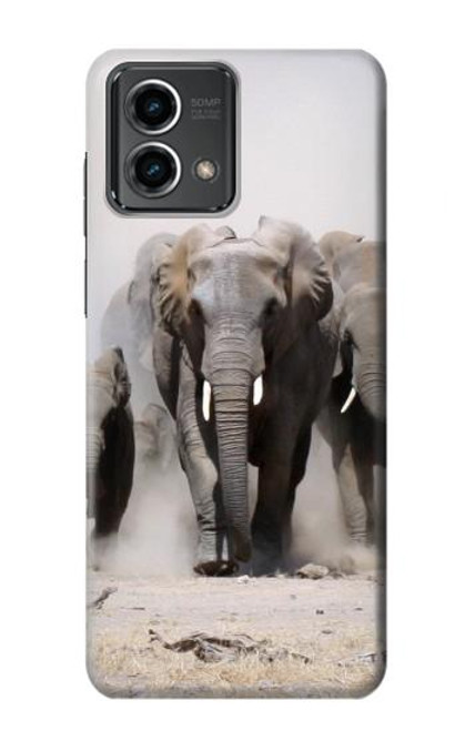 W3142 African Elephant Hard Case and Leather Flip Case For Motorola Moto G Stylus 5G (2023)