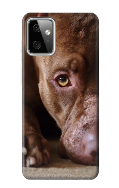 W0519 PitBull Face Hard Case and Leather Flip Case For Motorola Moto G Power (2023) 5G