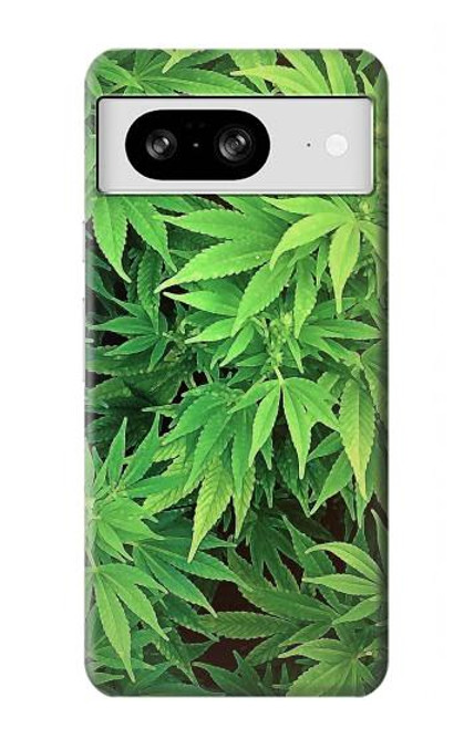 W1656 Marijuana Plant Hard Case and Leather Flip Case For Google Pixel 8