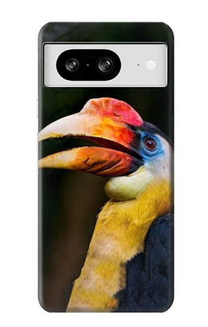 W3876 Colorful Hornbill Hard Case and Leather Flip Case For Google Pixel 8